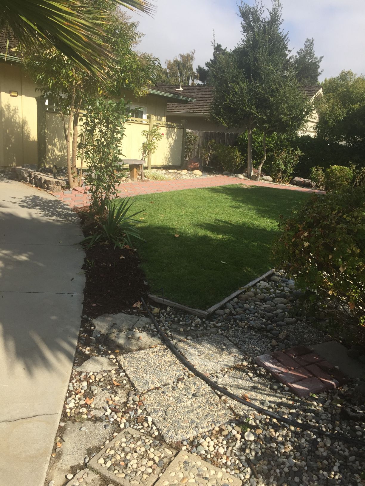 Gallery Photo 1
